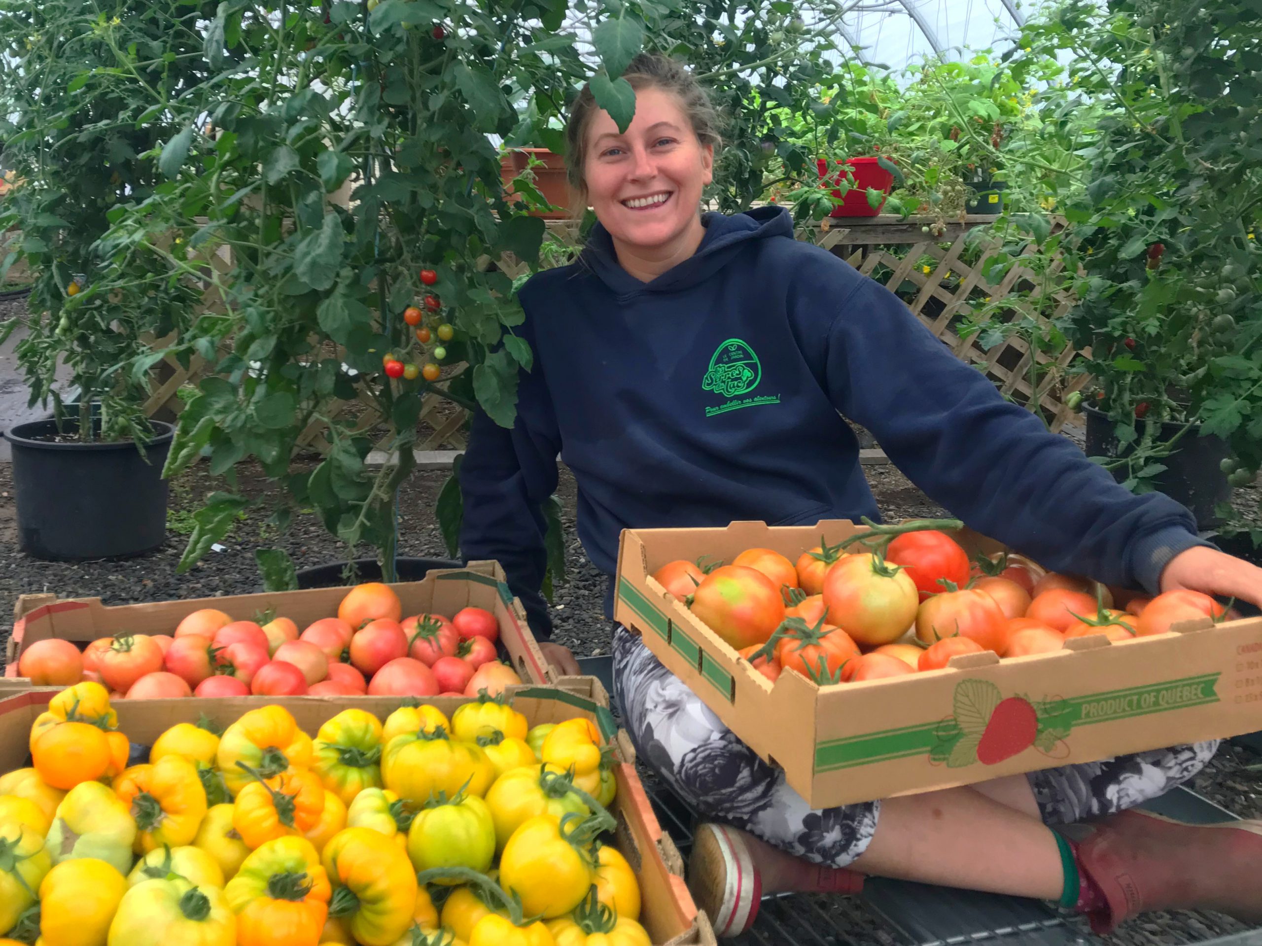 Les serres du lac fruits et légumes